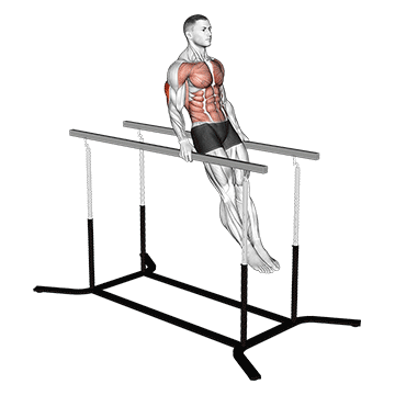 Dips impossibles
