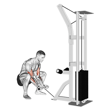 Curl à la poulie en position squat